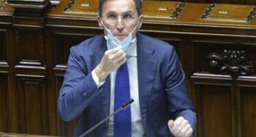 Ddl Zan, Boccia: “Renzi ammicca alla destra”