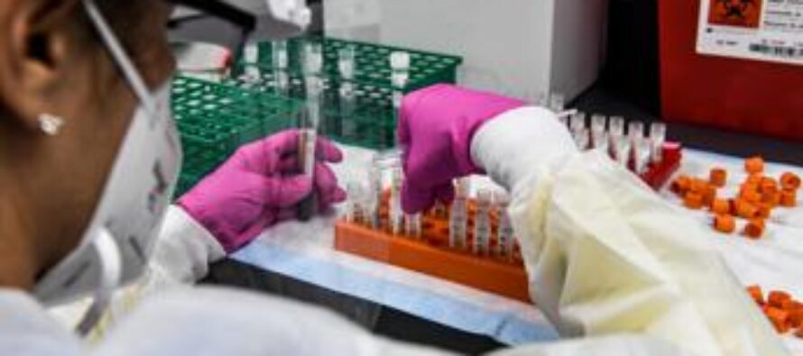 Covid Italia, da vaccino a Omicron: 2021 della pandemia che non finisce