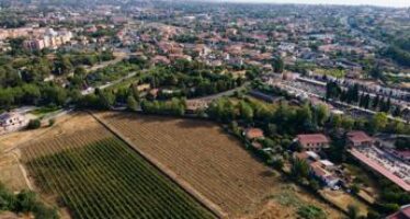 Vino: le siciliane Vigna del Gallo e Etna urban winery nell’Urban vineyard association