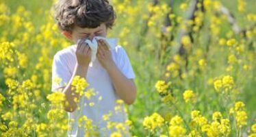 Allergie di stagione, che fare quando colpiscono i bambini