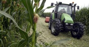 Agricoltura, Ismea: “Fiducia delle imprese ai minimi, mai così bassa nemmeno durante il Covid”