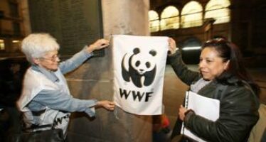 Tassonomia Ue, il WWF non ci sta