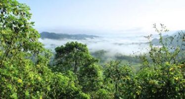 Il Brasile apre un’autostrada nella foresta amazzonica