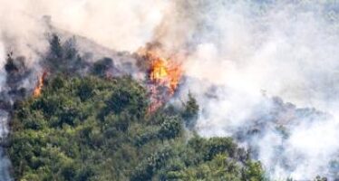 WWF: gli incendi di domani si spengono oggi