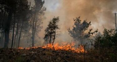 Incendi e caldo in Europa: migliaia di evacuati, centinaia di morti