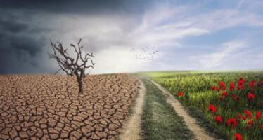 Cambiamento climatico e crisi dell’agro-alimentare