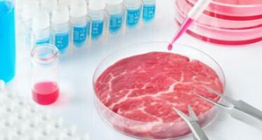 Carne sintetica: alimento o affare del futuro?