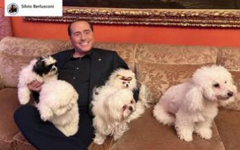 Berlusconi annuncia new entry ad Arcore: “Dopo Dudù ecco Drago e Lupo”