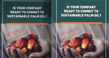 Nel 2020 usate 1,5 mln di tonnellate di olio di palma, il 95% è sostenibile