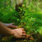 Transizione ecologica urbana: pubblicato Bando europeo per Progetti transnazionali per Città climaticamente neutrali e resilienti